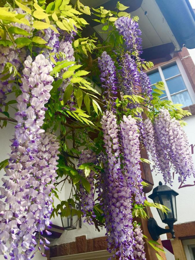 Landgasthaus "Zum Engel" 诺伊莱宁恩 外观 照片